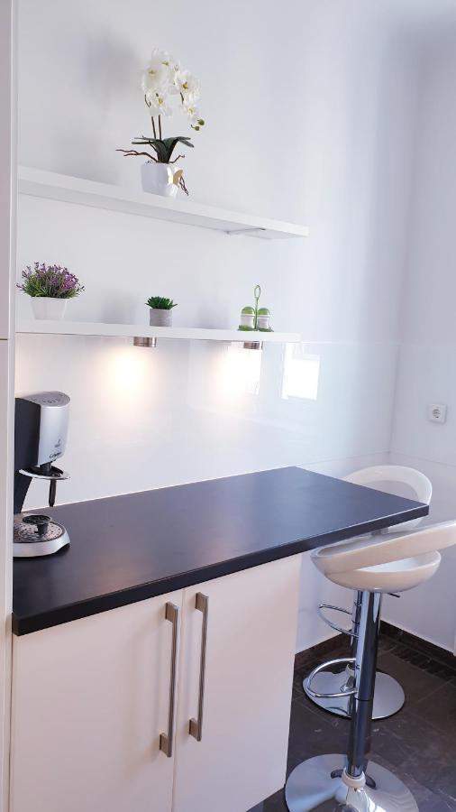 Wonderful 2-bedroom Belvedere Appartement Wenen